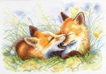 (image for) Fox Pranks